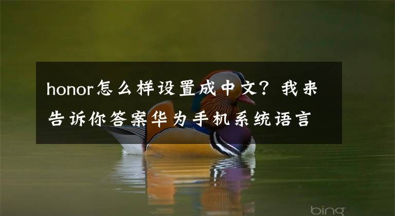 honor怎么樣設置成中文？我來告訴你答案華為手機系統(tǒng)語言變成英文或者其他亂碼了怎么調回中文？