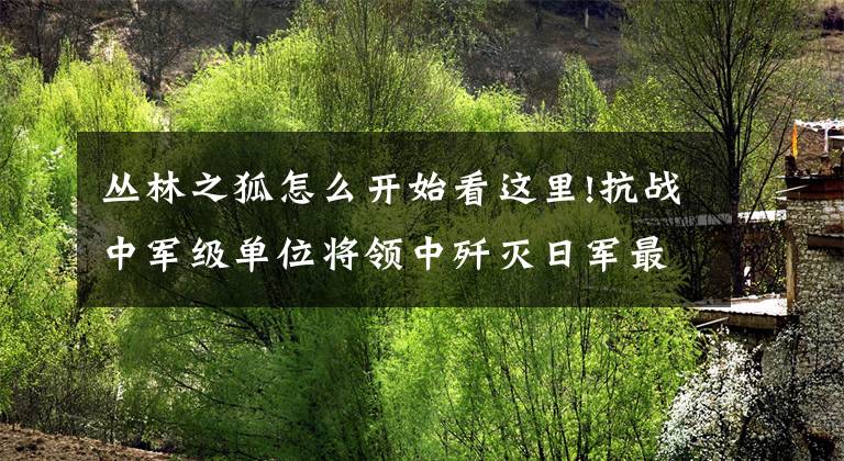 叢林之狐怎么開始看這里!抗戰(zhàn)中軍級單位將領(lǐng)中殲滅日軍最多的將領(lǐng)，有“叢林之狐”的美稱