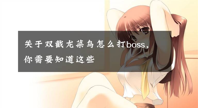 關(guān)于雙截龍菜鳥怎么打boss，你需要知道這些