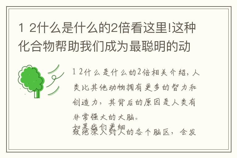 1 2什么是什么的2倍看這里!這種化合物幫助我們成為最聰明的動(dòng)物