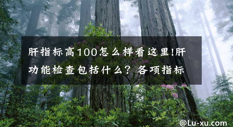 肝指標(biāo)高100怎么樣看這里!肝功能檢查包括什么？各項(xiàng)指標(biāo)有什么意義？教你看懂肝功能化驗(yàn)單