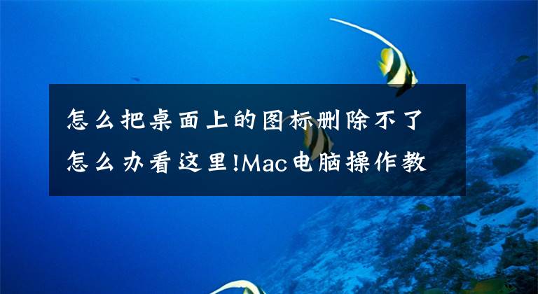 怎么把桌面上的圖標刪除不了怎么辦看這里!Mac電腦操作教程之3招快速去除桌面上的圖標文件