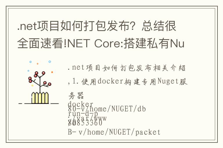 .net項目如何打包發(fā)布？總結(jié)很全面速看!NET Core:搭建私有Nuget服務(wù)器以及打包發(fā)布Nuget包