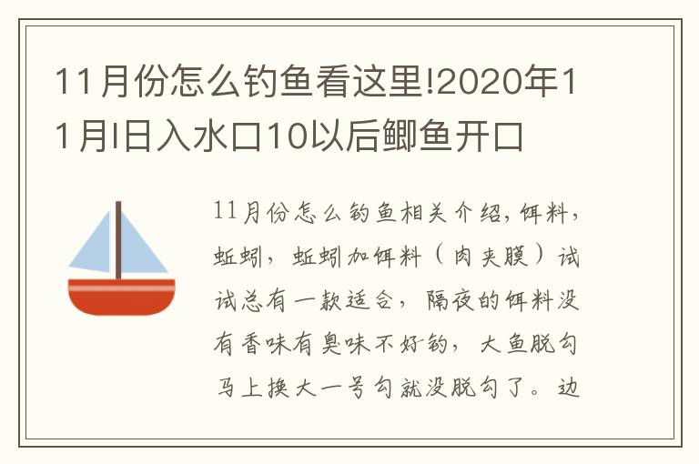 11月份怎么釣魚看這里!2020年11月I日入水口10以后鯽魚開口