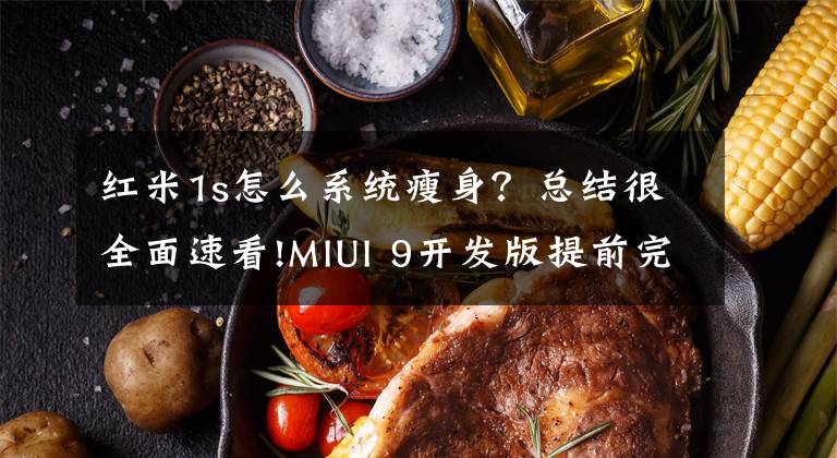 紅米1s怎么系統(tǒng)瘦身？總結(jié)很全面速看!MIUI 9開(kāi)發(fā)版提前完成適配 趕快升級(jí)吧！