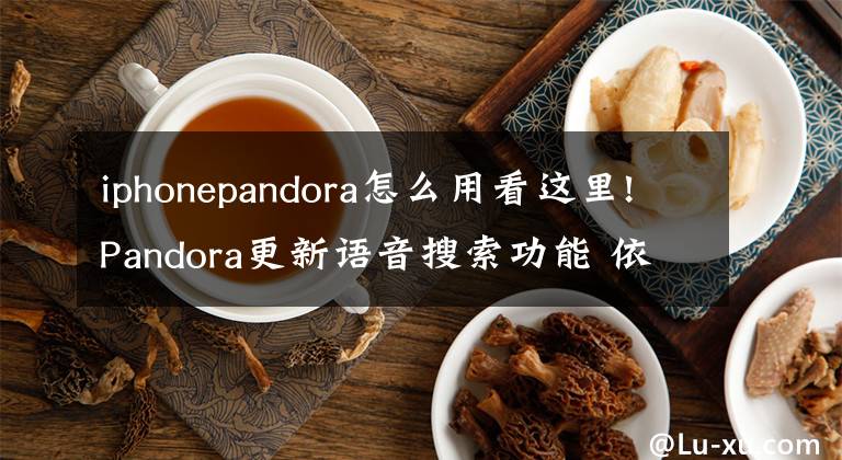 iphonepandora怎么用看這里!Pandora更新語音搜索功能 依你的喜好定制個性化歌單