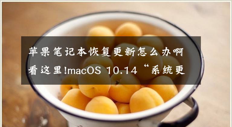 蘋果筆記本恢復(fù)更新怎么辦啊看這里!macOS 10.14“系統(tǒng)更新”功能重新回歸系統(tǒng)偏好面板