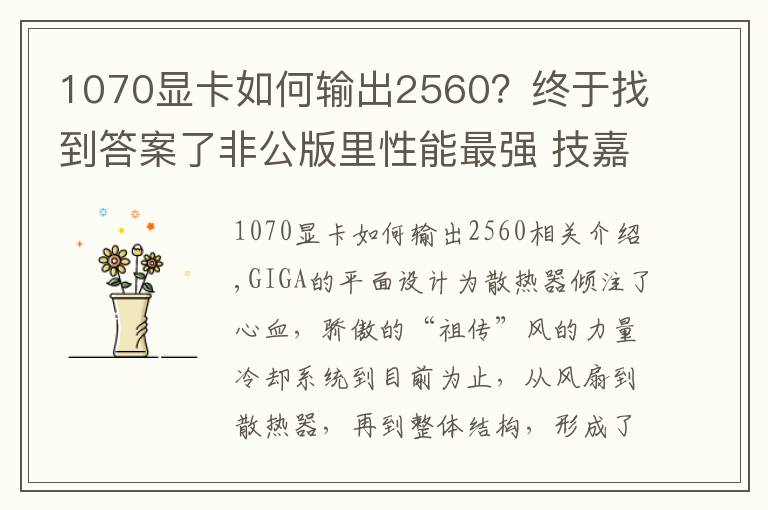 1070顯卡如何輸出2560？終于找到答案了非公版里性能最強(qiáng) 技嘉祖?zhèn)黠L(fēng)之力GTX 1070顯卡測(cè)試