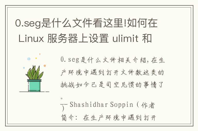 0.seg是什么文件看這里!如何在 Linux 服務(wù)器上設(shè)置 ulimit 和文件描述符數(shù)限制