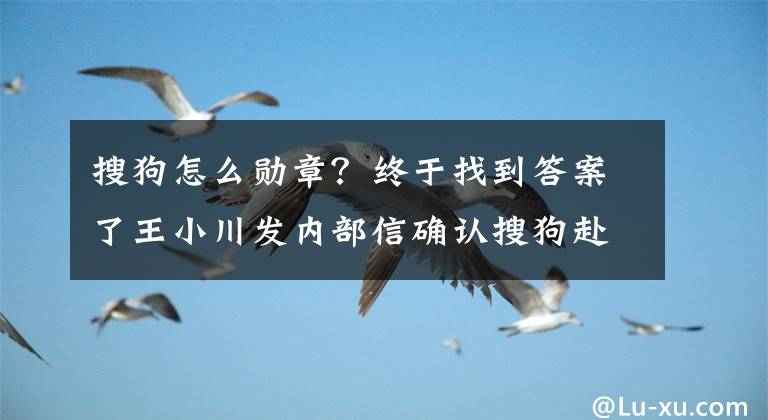 搜狗怎么勛章？終于找到答案了王小川發(fā)內(nèi)部信確認(rèn)搜狗赴美IPO