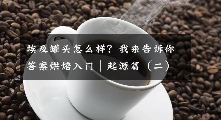 埃及罐頭怎么樣？我來(lái)告訴你答案烘焙入門(mén)｜起源篇（二）：好兇殘的埃及面包！