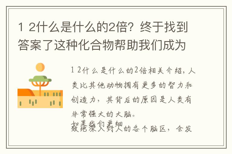 1 2什么是什么的2倍？終于找到答案了這種化合物幫助我們成為最聰明的動(dòng)物