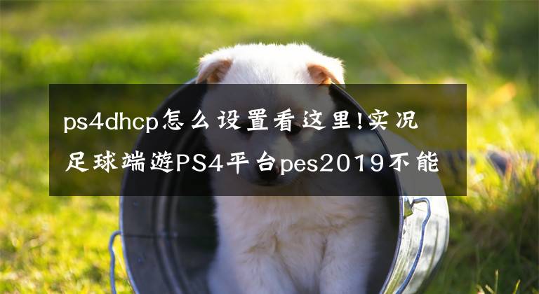 ps4dhcp怎么設(shè)置看這里!實況足球端游PS4平臺pes2019不能聯(lián)機解決方法