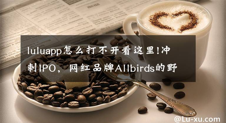 luluapp怎么打不開看這里!沖刺IPO，網(wǎng)紅品牌Allbirds的野心與隱憂