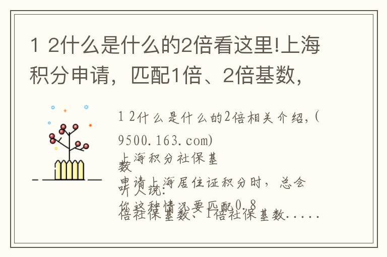 1 2什么是什么的2倍看這里!上海積分申請(qǐng)，匹配1倍、2倍基數(shù)，到底是多少工資？