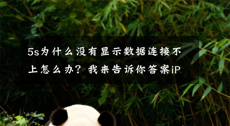 5s為什么沒有顯示數(shù)據(jù)連接不上怎么辦？我來告訴你答案iPhone5s升級iOS7后信號異常解決方法