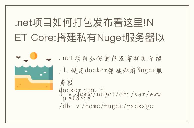 .net項目如何打包發(fā)布看這里!NET Core:搭建私有Nuget服務器以及打包發(fā)布Nuget包