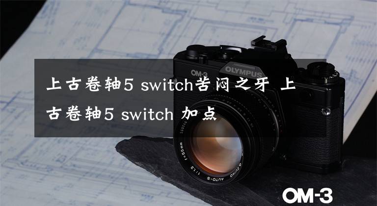 上古卷軸5 switch苦悶之牙 上古卷軸5 switch 加點