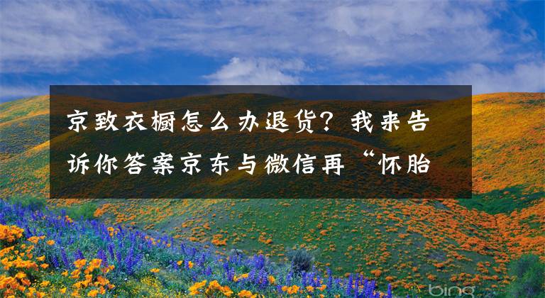 京致衣櫥怎么辦退貨？我來告訴你答案京東與微信再“懷胎”：開發(fā)“京致衣櫥”