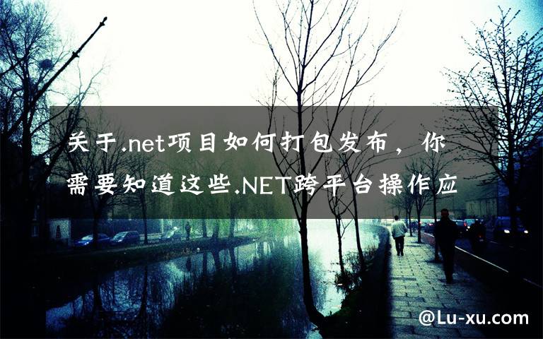 關(guān)于.net項(xiàng)目如何打包發(fā)布，你需要知道這些.NET跨平臺(tái)操作應(yīng)用遷移