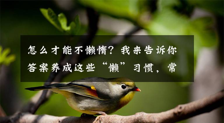 怎么才能不懶惰？我來告訴你答案養(yǎng)成這些“懶”習(xí)慣，常做這些“懶”動作，健康又快樂