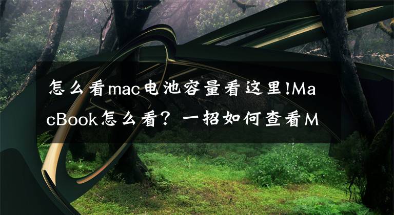 怎么看mac電池容量看這里!MacBook怎么看？一招如何查看Mac電池損耗？