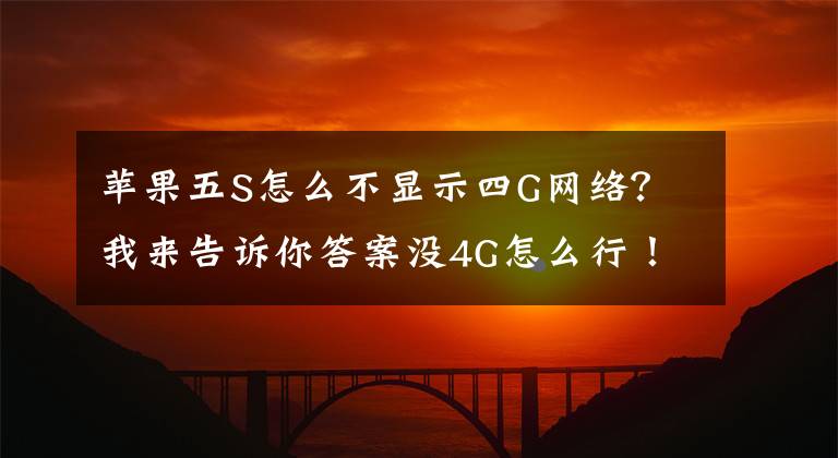 蘋果五S怎么不顯示四G網(wǎng)絡(luò)？我來告訴你答案沒4G怎么行！iphone5s 1528 啟用4G 經(jīng)驗