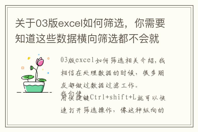 關(guān)于03版excel如何篩選，你需要知道這些數(shù)據(jù)橫向篩選都不會(huì)就out了，學(xué)會(huì)Ctrl+0快捷鍵兩秒搞定