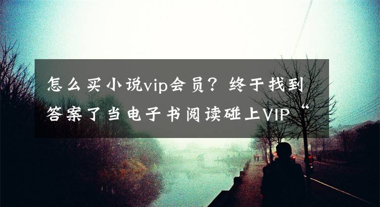 怎么買小說vip會(huì)員？終于找到答案了當(dāng)電子書閱讀碰上VIP“包月”服務(wù)：讀者會(huì)買賬嗎？