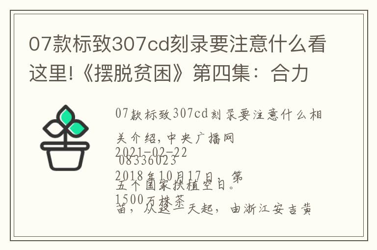 07款標(biāo)致307cd刻錄要注意什么看這里!《擺脫貧困》第四集：合力攻堅(jiān)