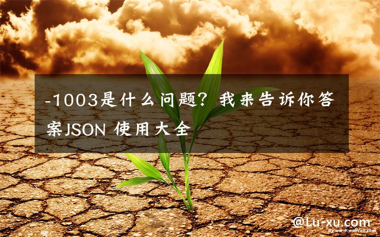 -1003是什么問題？我來告訴你答案JSON 使用大全