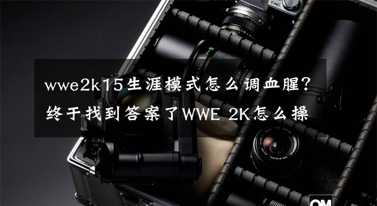 wwe2k15生涯模式怎么調(diào)血腥？終于找到答案了WWE 2K怎么操作 WWE 2K操作方法技巧詳解