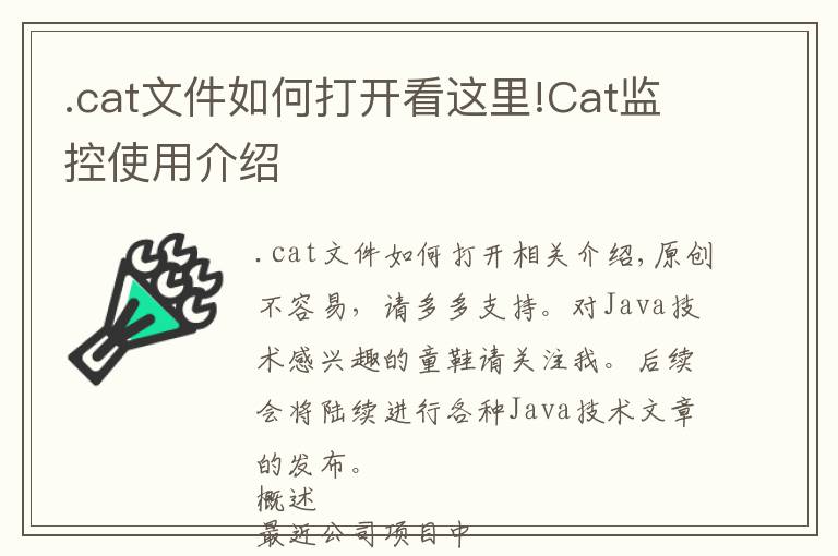 .cat文件如何打開看這里!Cat監(jiān)控使用介紹