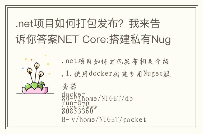 .net項目如何打包發(fā)布？我來告訴你答案NET Core:搭建私有Nuget服務器以及打包發(fā)布Nuget包