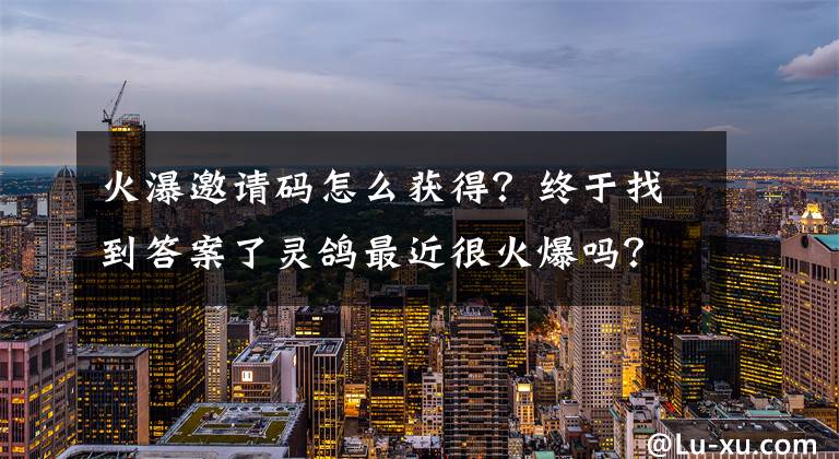 火瀑邀請碼怎么獲得？終于找到答案了靈鴿最近很火爆嗎？都在找邀請碼！拿走不謝剛剛注冊好