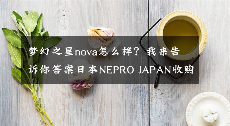 夢幻之星nova怎么樣？我來告訴你答案日本NEPRO JAPAN收購《星之海洋》RPG手游開發(fā)商tri-Ace