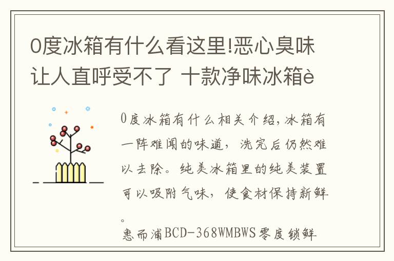 0度冰箱有什么看這里!惡心臭味讓人直呼受不了?十款凈味冰箱讓食材無所“味”懼