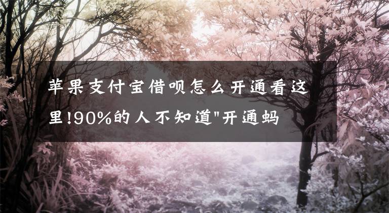 蘋果支付寶借唄怎么開通看這里!90%的人不知道"開通螞蟻借唄"的4種方法