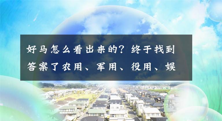 好馬怎么看出來(lái)的？終于找到答案了農(nóng)用、軍用、役用、娛樂(lè)用，馬的用途這么多，怎么樣算好馬？