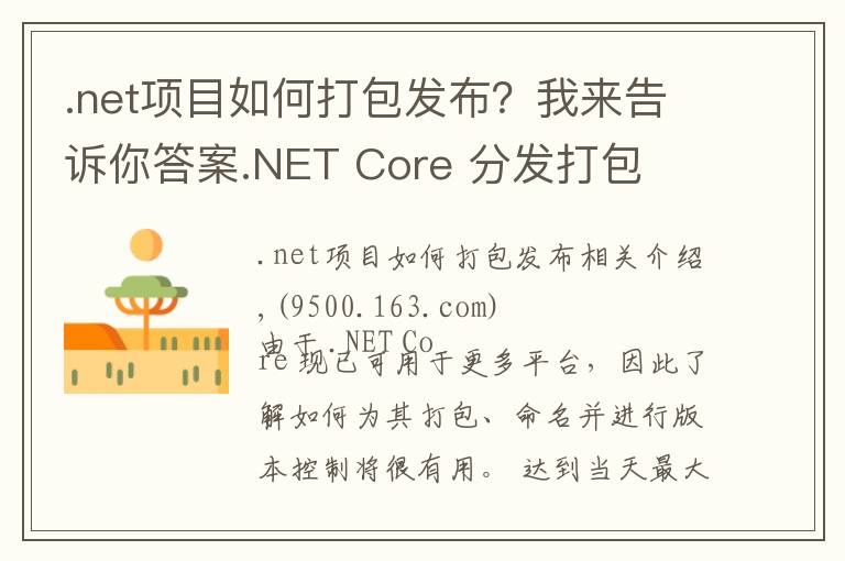 .net項(xiàng)目如何打包發(fā)布？我來告訴你答案.NET Core 分發(fā)打包