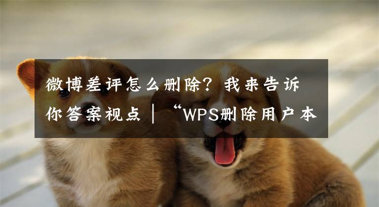 微博差評怎么刪除？我來告訴你答案視點(diǎn)｜“WPS刪除用戶本地文件”風(fēng)波需要權(quán)威結(jié)論