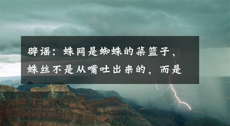 辟謠：蛛網(wǎng)是蜘蛛的菜籃子，蛛絲不是從嘴吐出來的，而是拉出來的