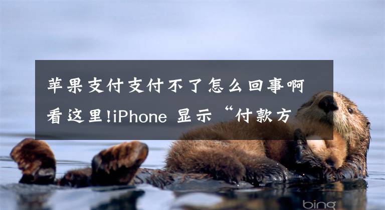 蘋果支付支付不了怎么回事啊看這里!iPhone 顯示“付款方式被拒”怎么解決？