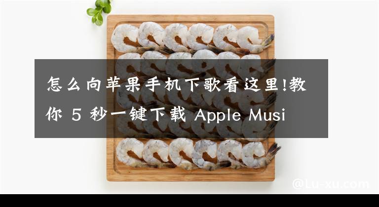 怎么向蘋果手機(jī)下歌看這里!教你 5 秒一鍵下載 Apple Music 上的所有音樂(lè)