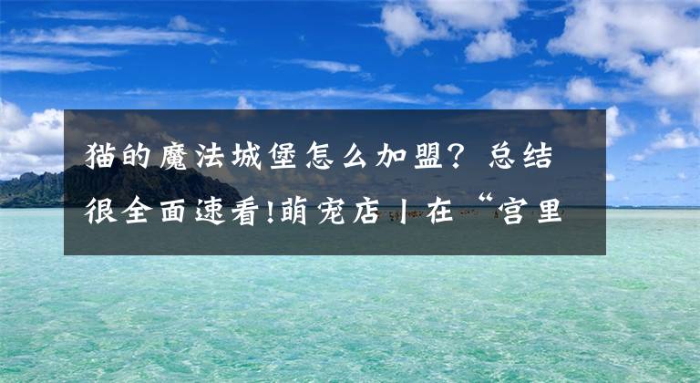 貓的魔法城堡怎么加盟？總結(jié)很全面速看!萌寵店丨在“宮里”擼貓是一種怎樣的體驗(yàn)？