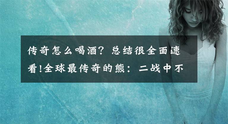 傳奇怎么喝酒？總結(jié)很全面速看!全球最傳奇的熊：二戰(zhàn)中不僅會(huì)抽煙喝酒，還會(huì)搬炮彈扔手雷