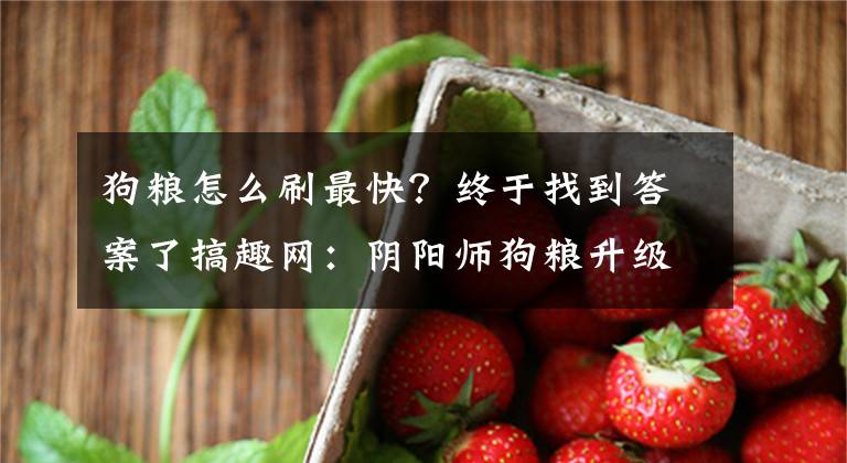 狗糧怎么刷最快？終于找到答案了搞趣網(wǎng)：陰陽師狗糧升級攻略 狗糧如何快速升級