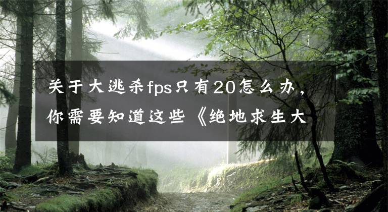 關(guān)于大逃殺fps只有20怎么辦，你需要知道這些《絕地求生大逃殺》高性能游戲本提高幀數(shù)方法介紹