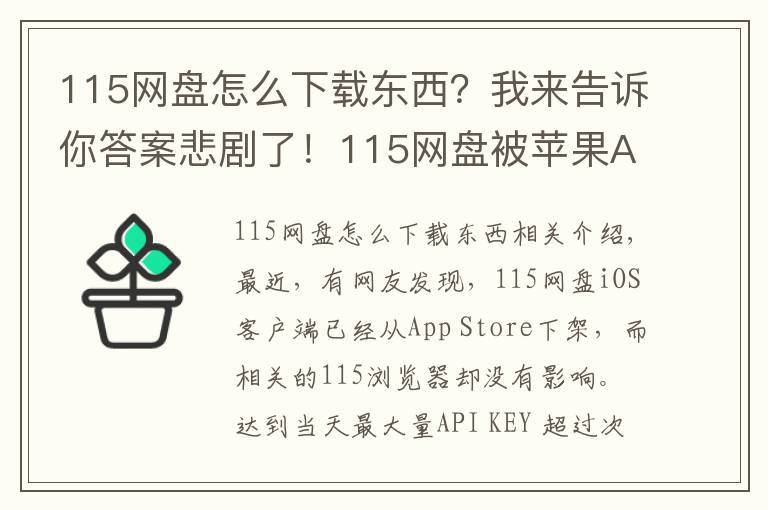 115網(wǎng)盤怎么下載東西？我來告訴你答案悲劇了！115網(wǎng)盤被蘋果App Store下架