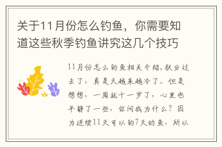 關(guān)于11月份怎么釣魚，你需要知道這些秋季釣魚講究這幾個技巧，掌握好了仍能爆護(hù)